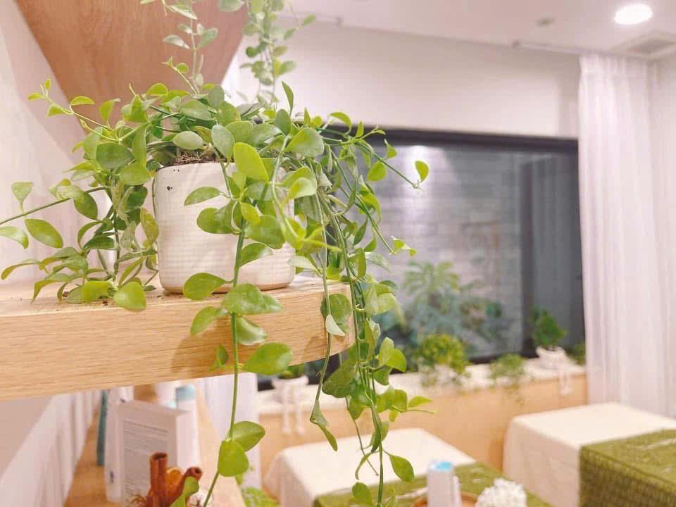 Community activity 58